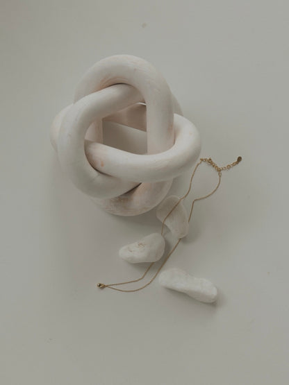 seed