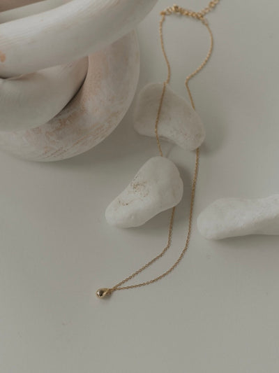 seed