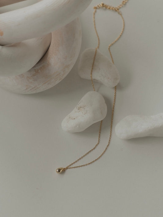 seed